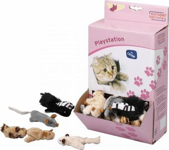 EBI ZAB. KOT ZWIERZAKI Z KOCIMIĘTKĄ /100 402/408261