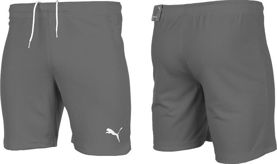 Puma Spodenki dla dzieci Puma teamRISE Short Jr szare 704943 13 128cm