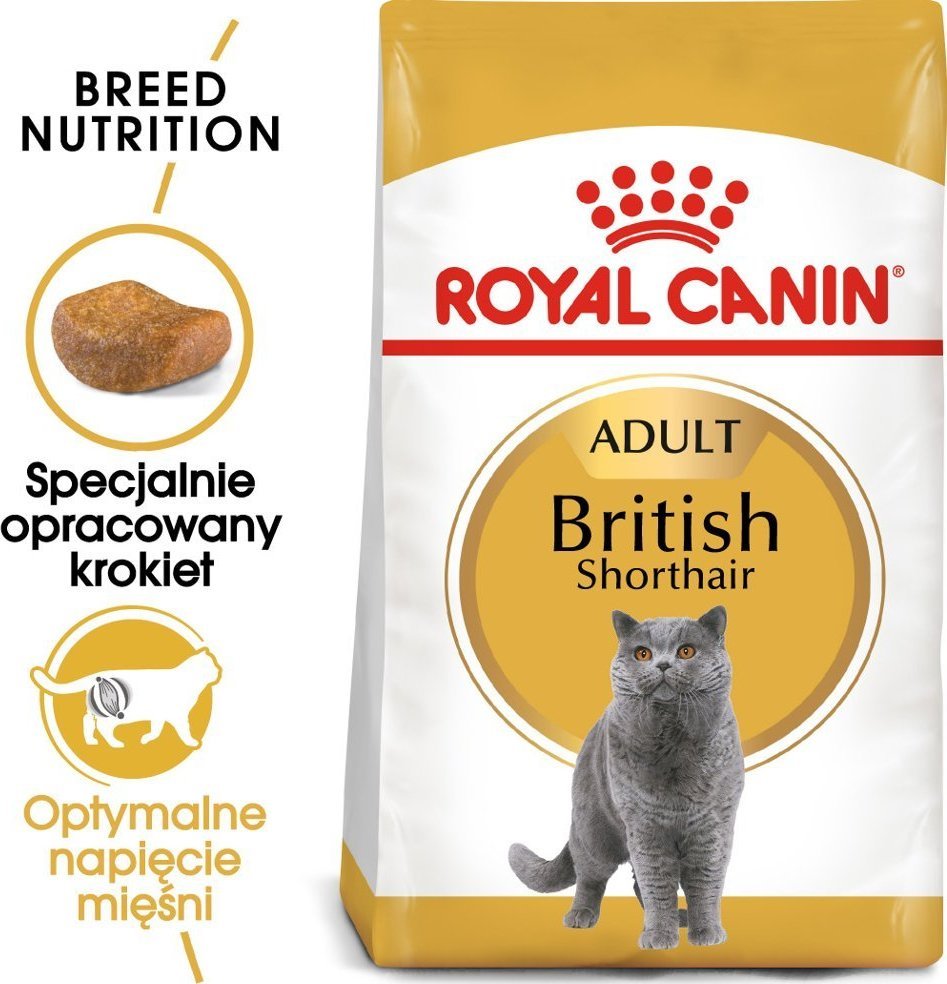 Royal Canin British Shorthair 2kg + gratis