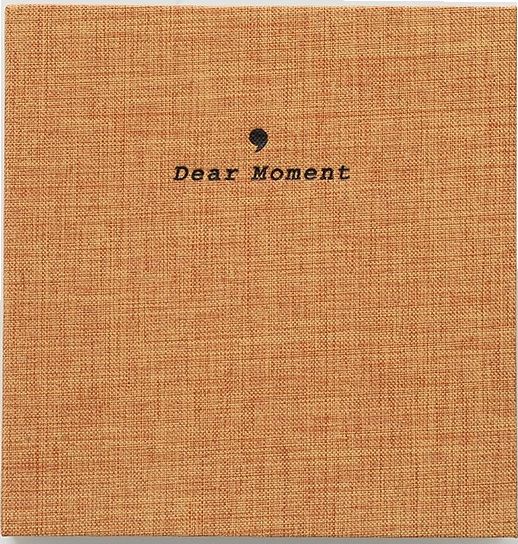 LoveInstant Album Mały na 100 Zdjęć do INSTAX Mini 7 8 9 11 90 / Brązowy