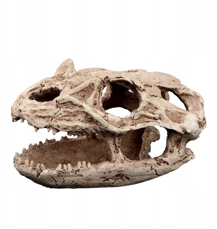 Exo Terra Dekoracja terrarystyczna kryjówka czaszka reptilozaura 19cm