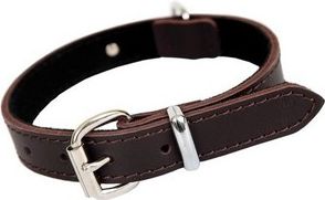 Dingo OBROŻA SK. ANGIELSKA 4x70 BRĄZ