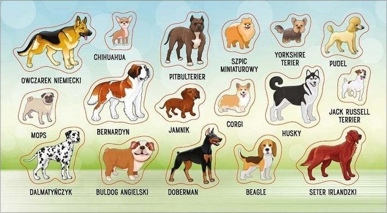 Ranok Naklejki Rasy psów