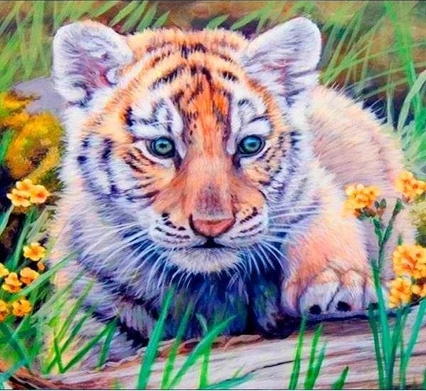 Norimpex Mozaika diamentowa 5D - Tygrys 40x30cm