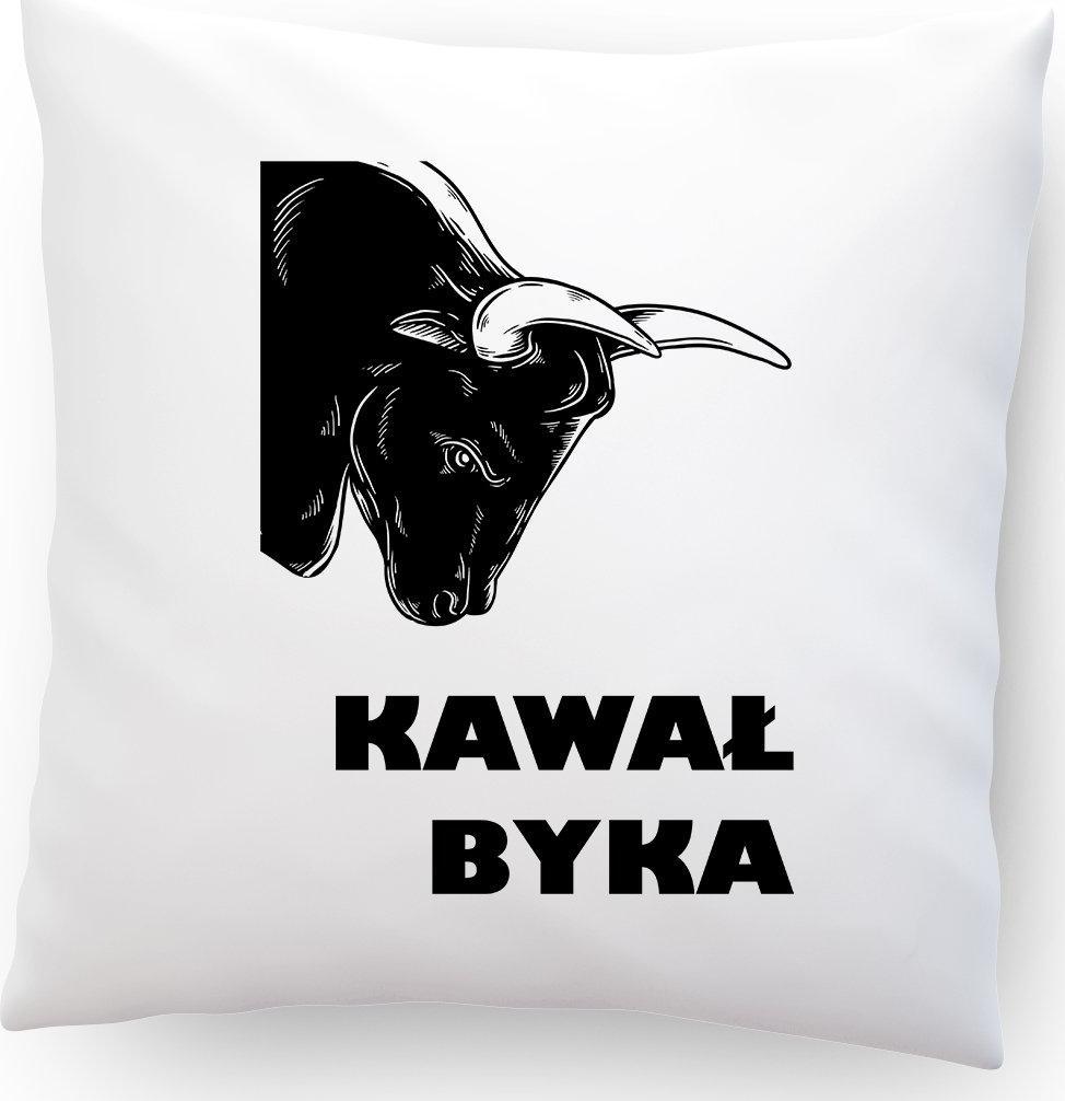 PODUSZKA Dzień CHŁOPAKA MĘŻA MĘŻCZYZNY PREZENT