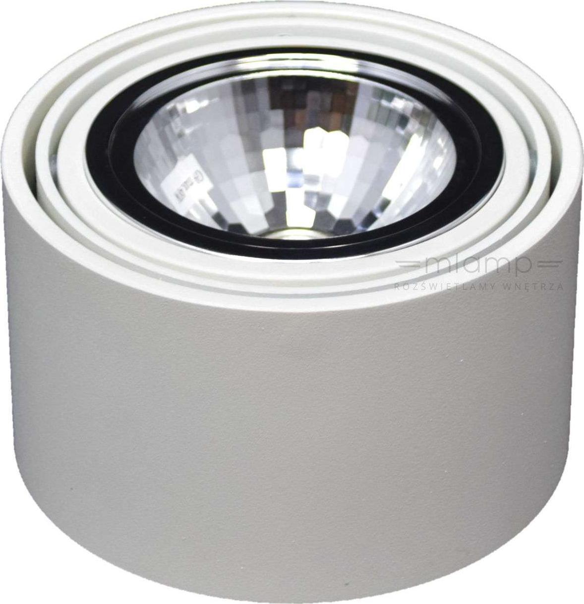 Lampa sufitowa KASPA Halogenowa LAMPA sufitowa LUMOS 1 70251101 Kaspa natynkowa OPRAWA plafon regulowany spot metalowy biały