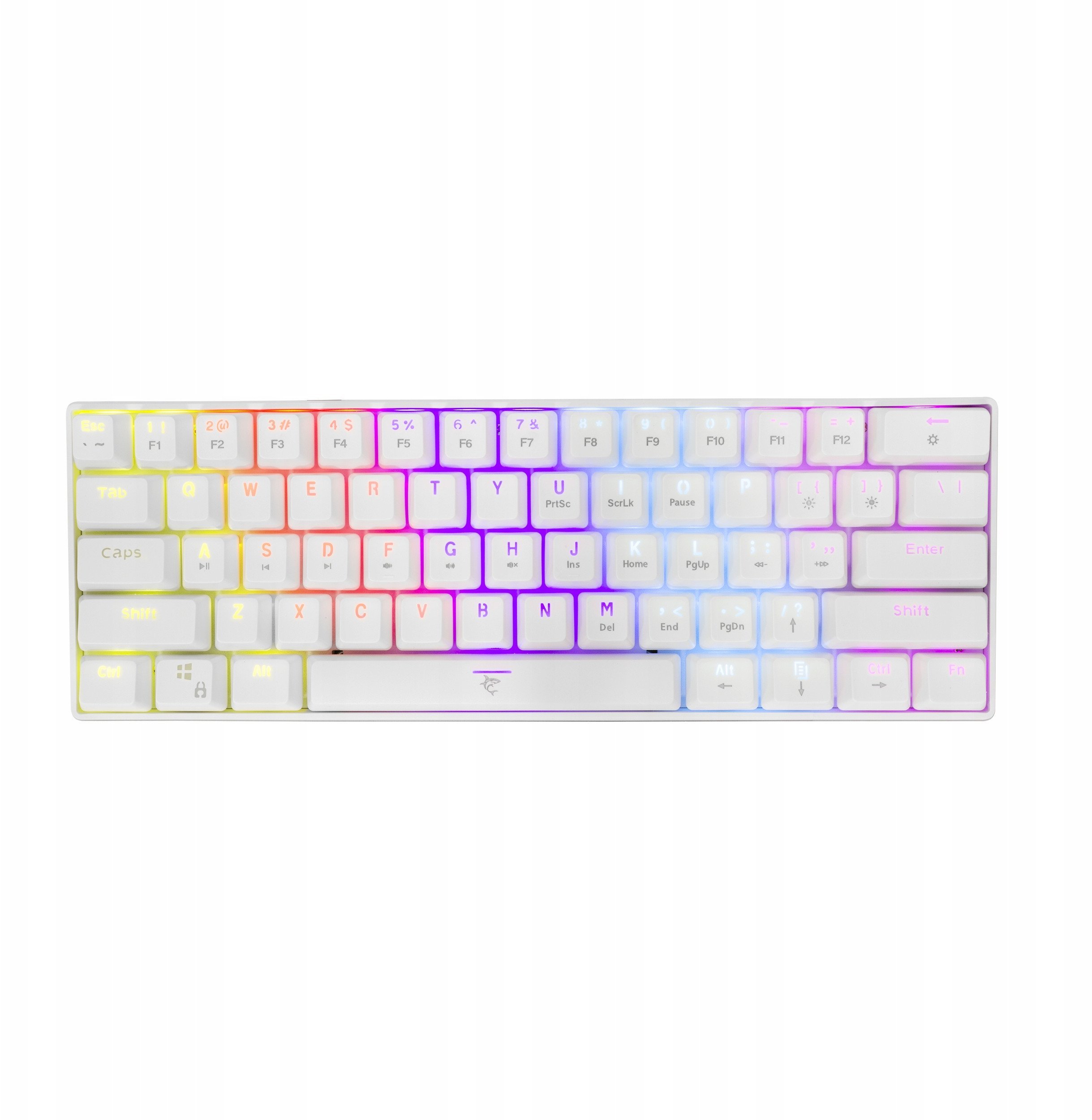 White Shark Shinobi-2 white blue switch