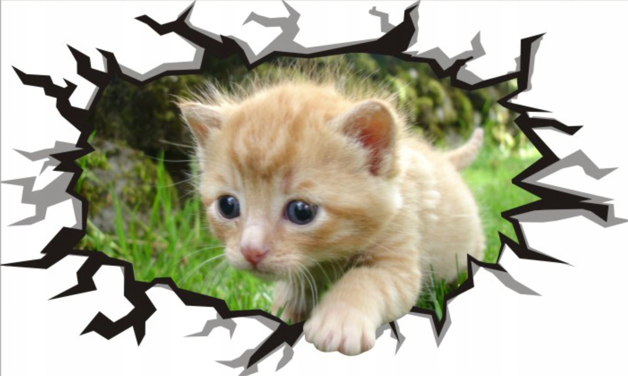 naSciane Naklejka na scianę 3D Kot Kotek dziura w ścianie