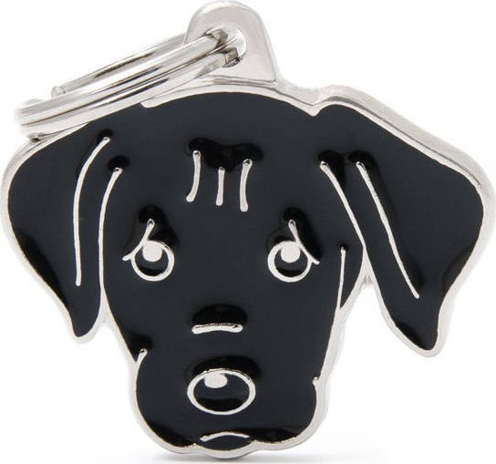 Zawieszka Adresówka Identyfikator z grawerem dla psa Labrador Black