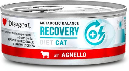 Disugual Karma mokra dla kota Weterynaryjna RECOVERY Jagnięcina (dorosły) 85g