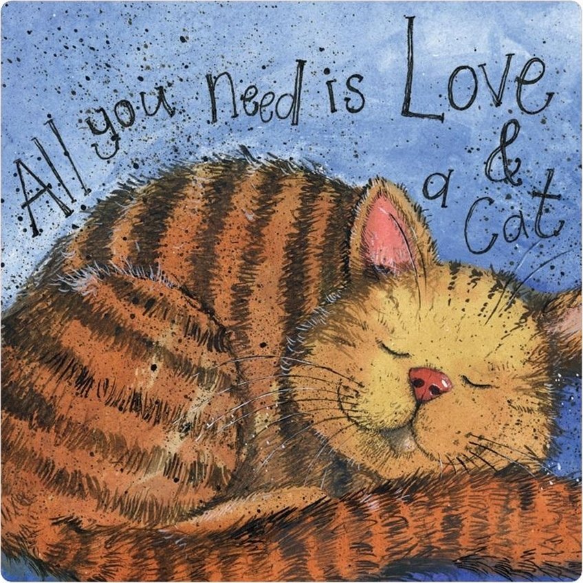 Teka Magnes FM223 Miło¶c i kot