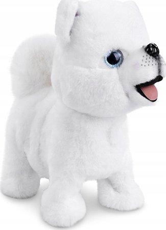 Piesek chodzący na smyczy 169137