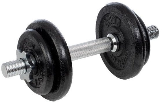 10KG CAST IRON DUMBBELL SET