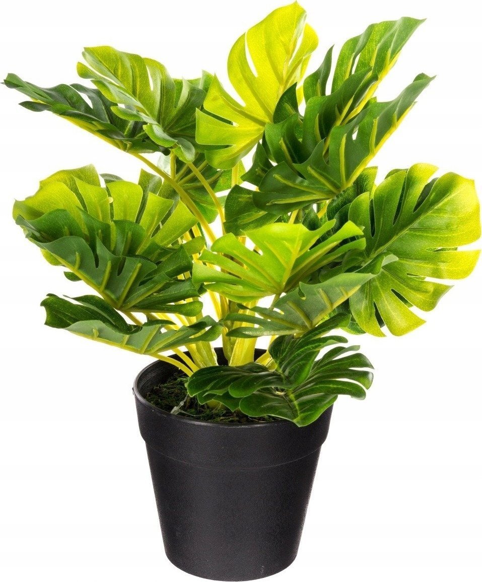 Atmosphera Sztuczna roślina w doniczce MONSTERA, 30 cm
