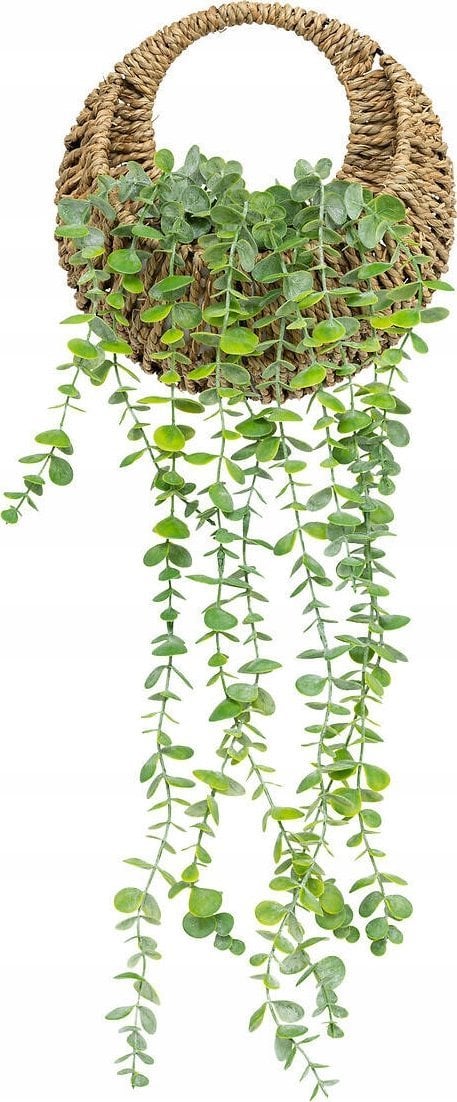 Atmosphera Sztuczny eukaliptus w plecionej doniczce, 70 cm
