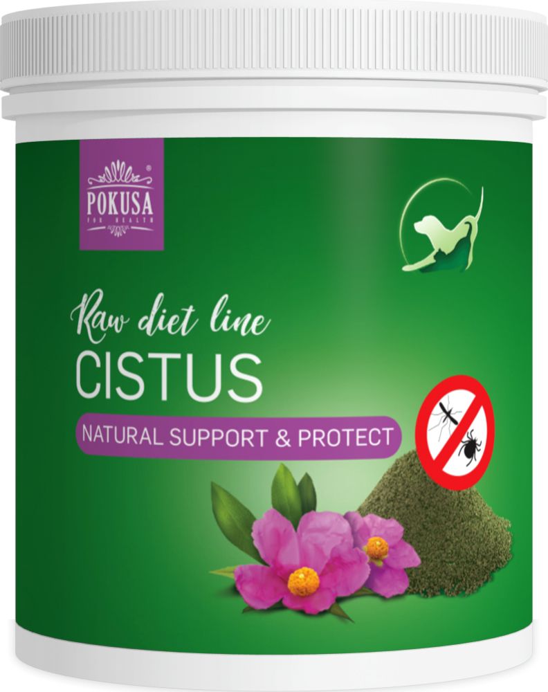 POKUSA Czystek 100 g