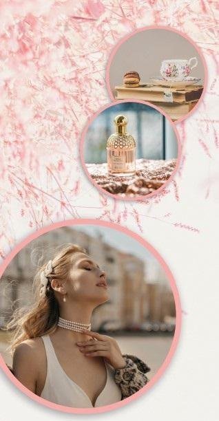 Karnet DL Uniwersalny