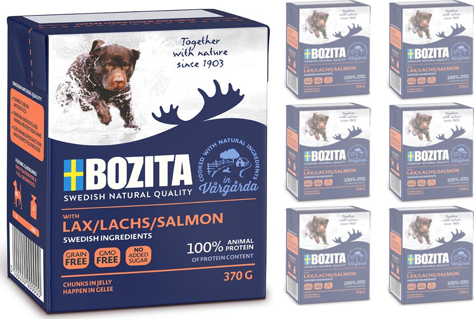 Bozita Bozita Dog: Łosoś w galarecie 6x370g