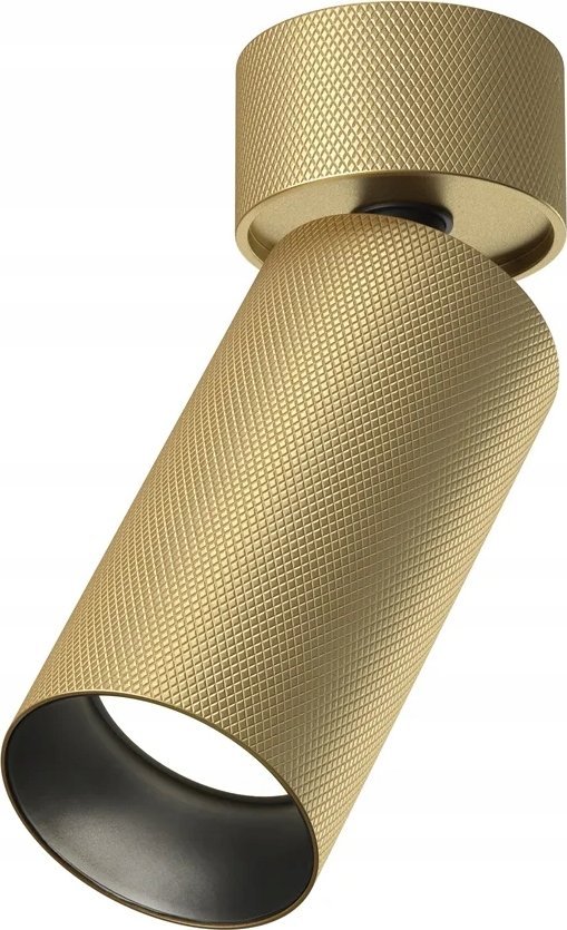 SPOT LIGHT ARTISAN GU10 10W MG