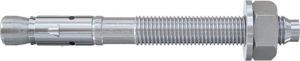 Fischer Bolzenanker FBZ 12/10 100 St.