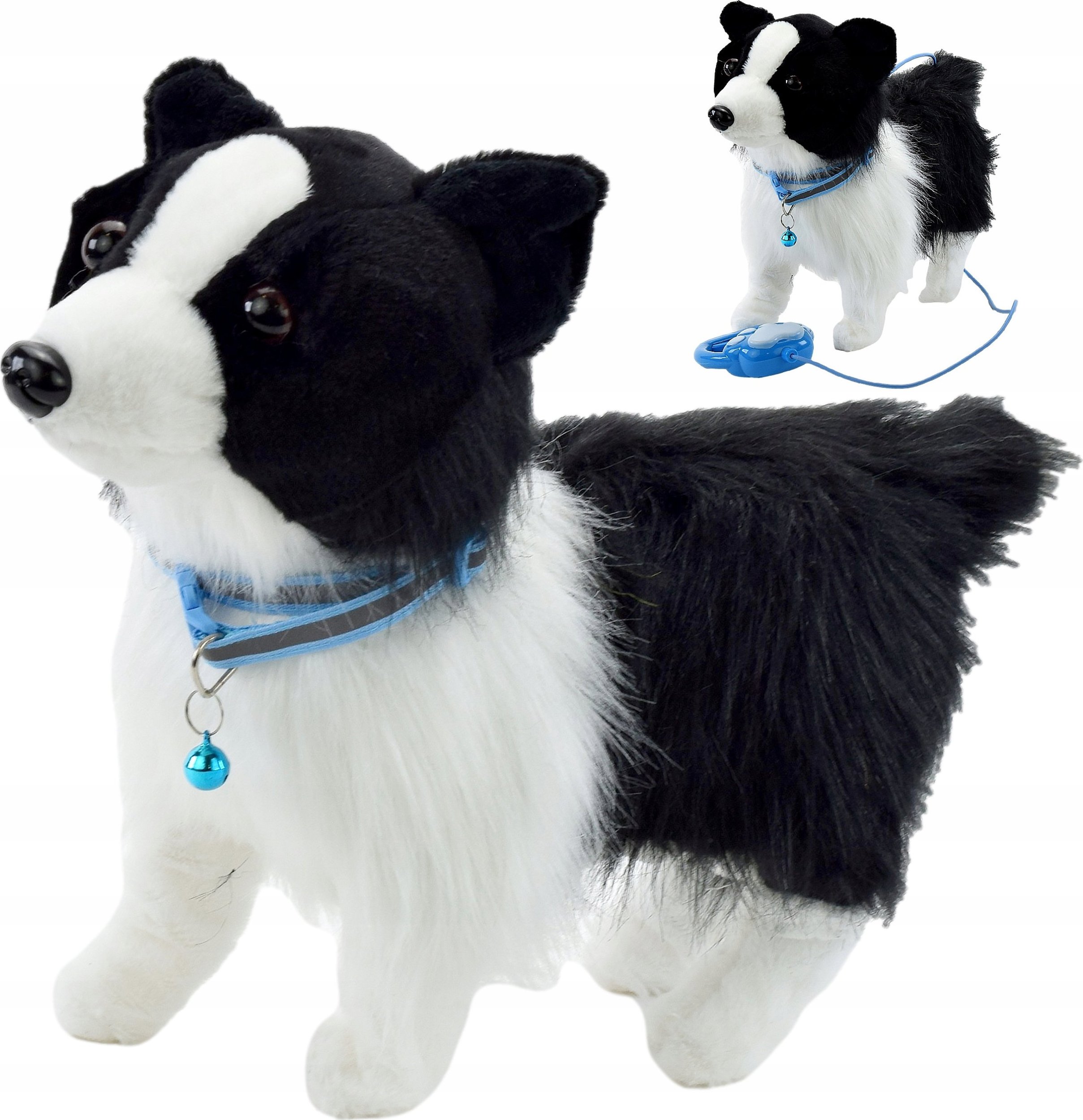 Skleplolki PIES INTERAKTYWNY NA SMYCZY CHODZI SZCZEKA BORDER