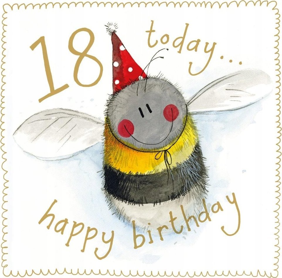 Teka Karnet Urodziny 18 S541 Pszczółka