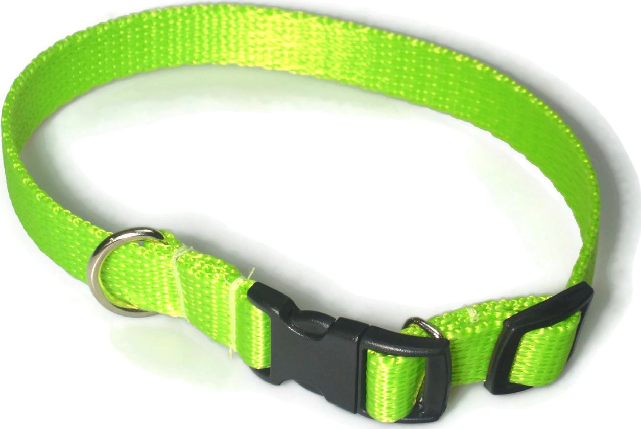 Alizoo Obroża dla średniego psa 16mm/24-42cm - ALIZOO