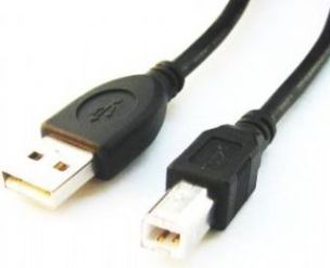 Kabel USB Gembird USB-A - 1.8 m Czarny (CCPUSB2AMBM6)
