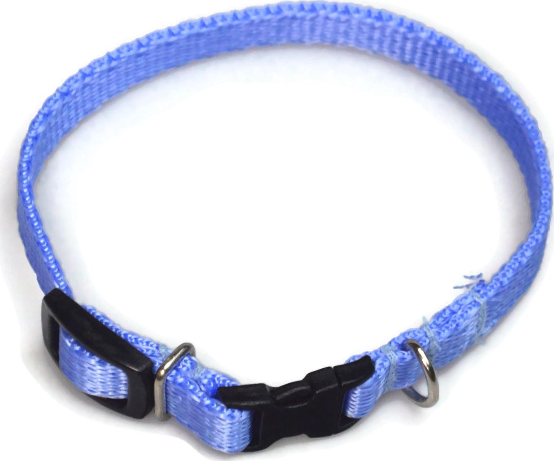 Alizoo Obroża dla psa 10mm/18-29cm - ALIZOO