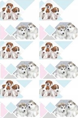 Starpak I NAKLEJKI NA ZESZYT STK PIESEK PBH 120/1200