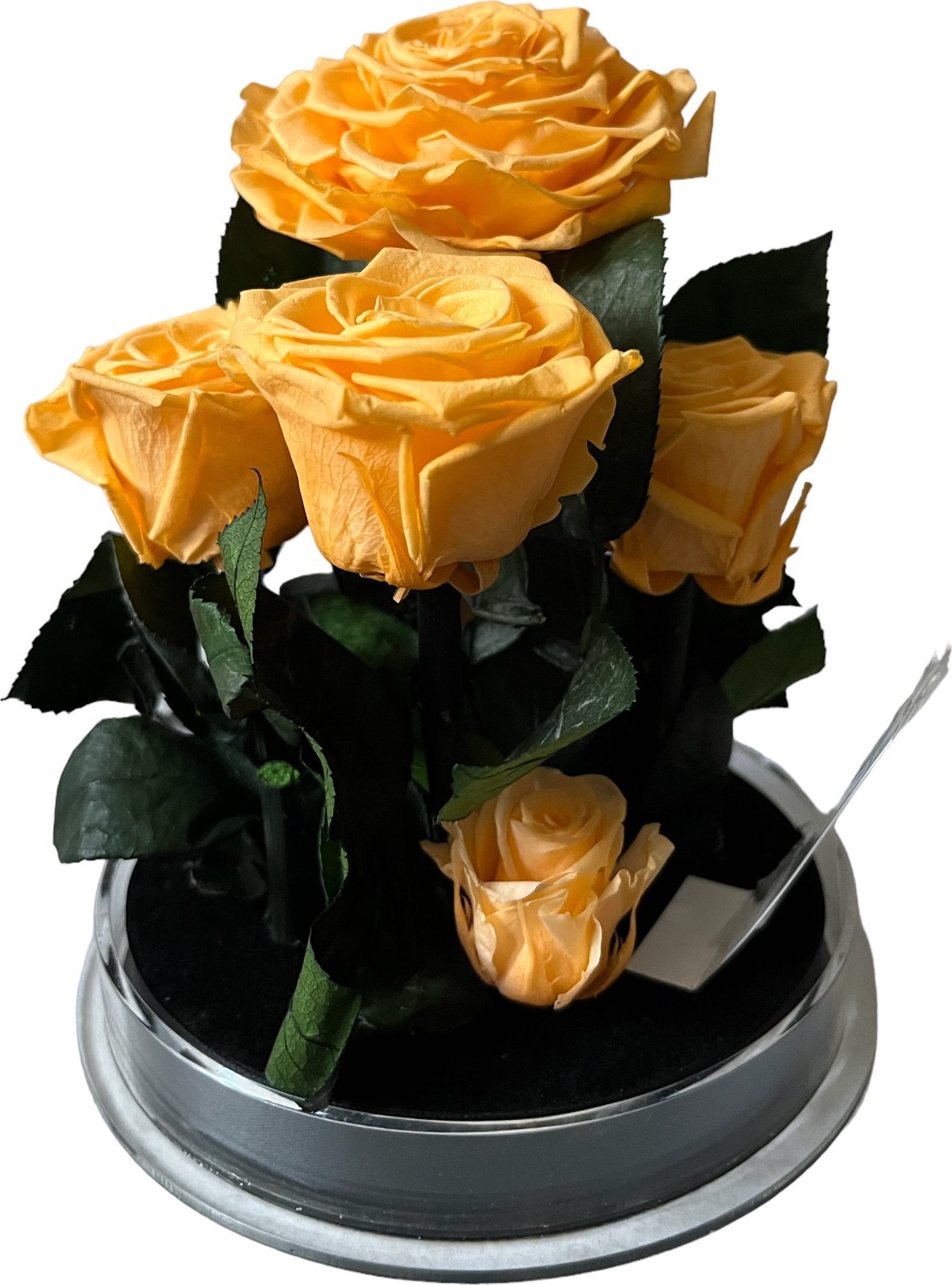 ToPrezent.pl Ogród w Szkle - 5 Zakonserwowanych Pomarańczowych Róż