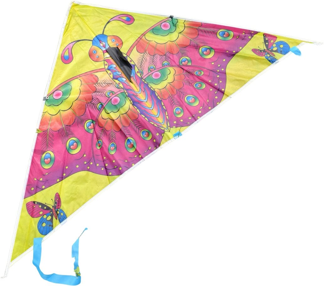 Latawiec 01476 14769