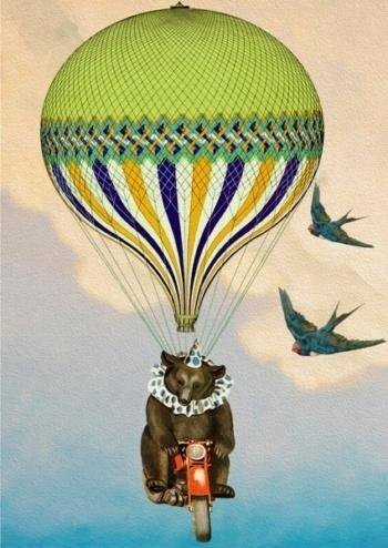 Karnet B6 z kopertą Cyrkowy miś