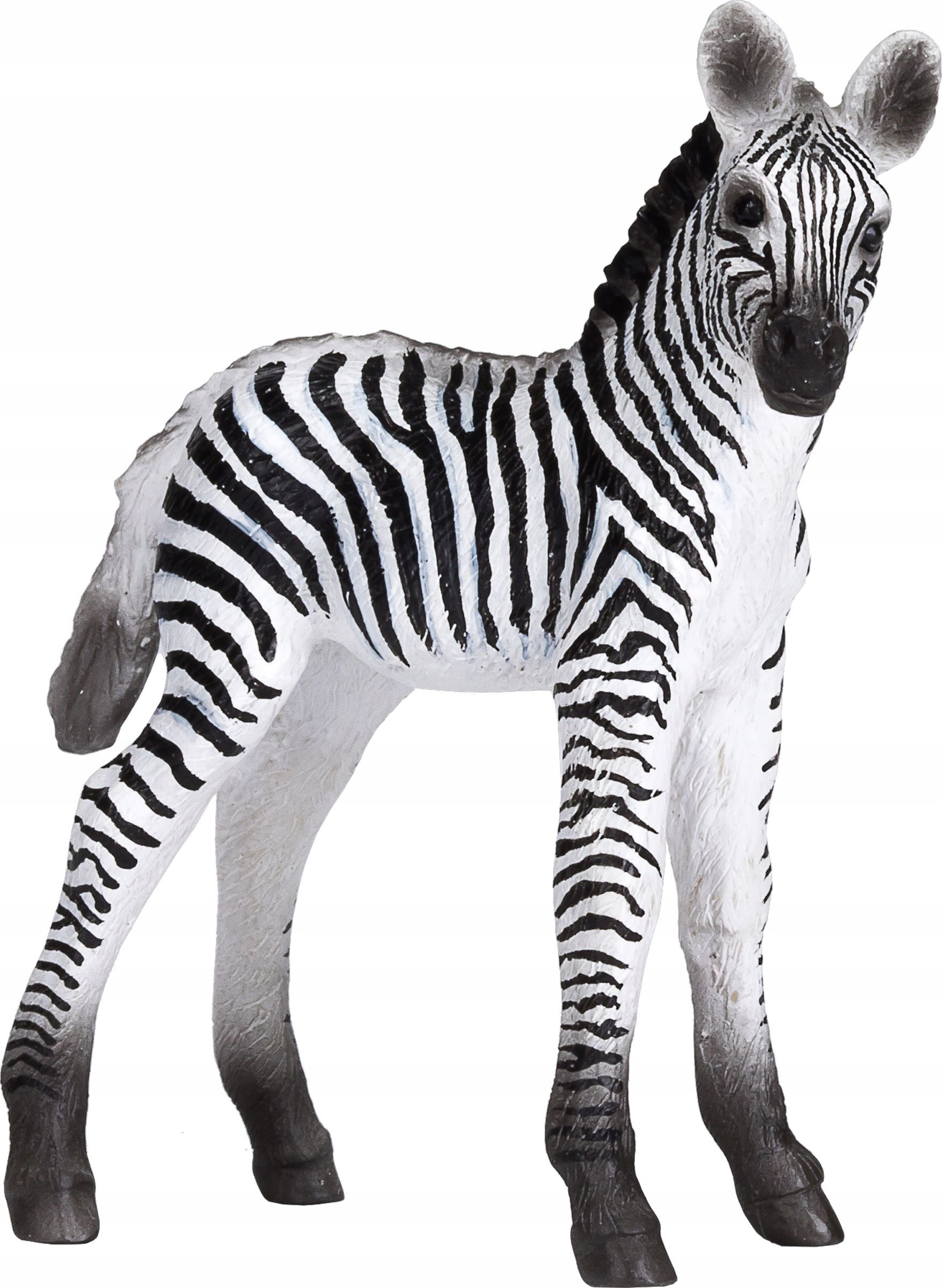 Figurka Animal Planet Figurka ZEBRA ŹREBIĘ - Zebra Foal Animal Planet - 387394 M