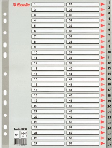 Esselte Przekładki do segregatora A4 PP szare 1-54 (10K154F)