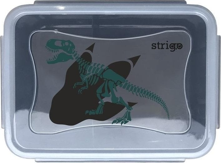 Śniadaniówka Noise STRIGO