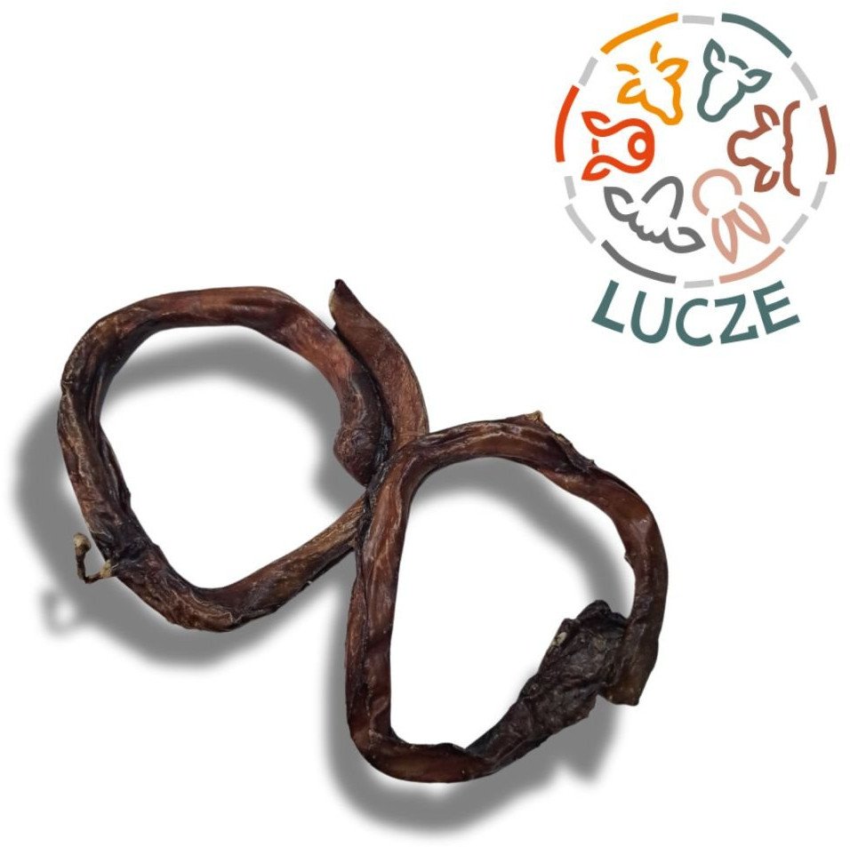 Lucze ring z penisa wołowego 100% naturalne 1 szt.