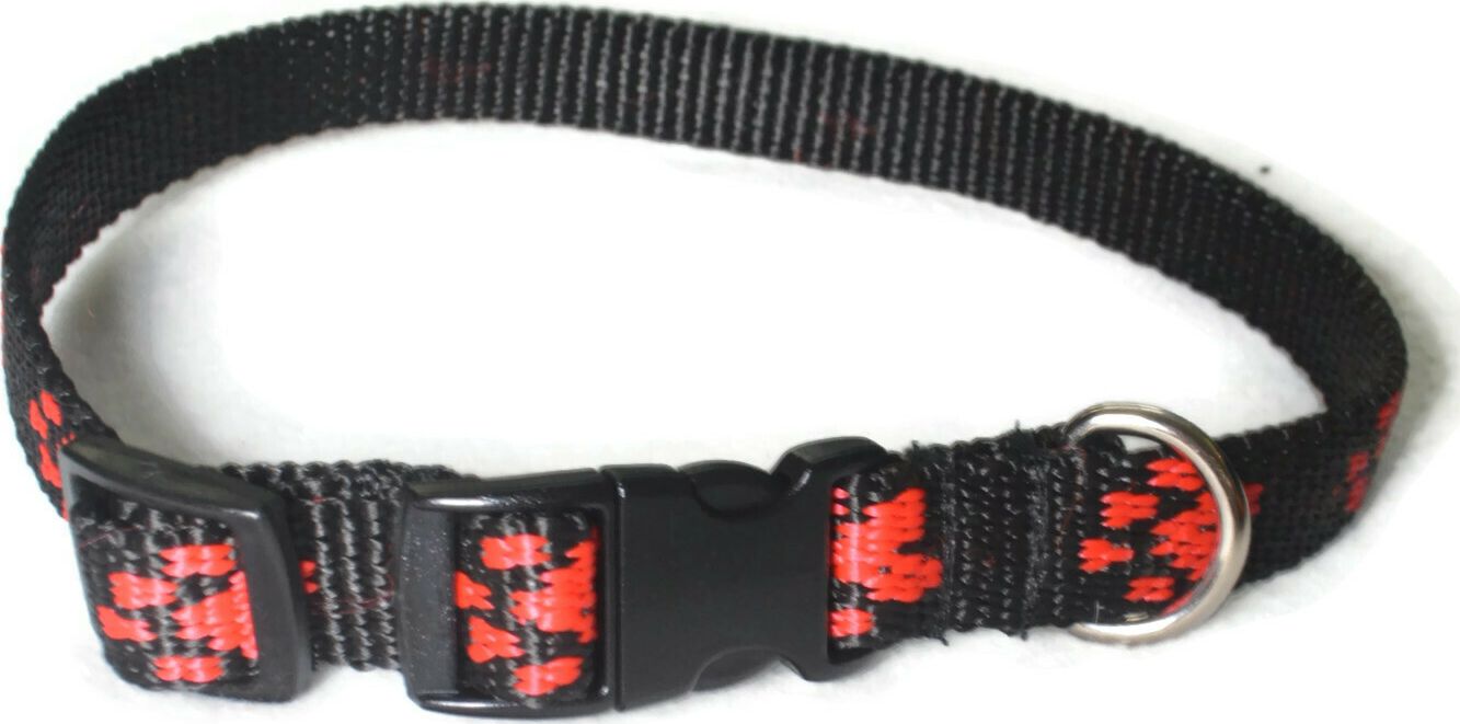 Alizoo Obroża w łapki dla średnich psów 15mm/24-42cm - ALIZOO