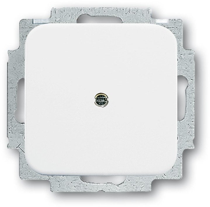 Busch-Jaeger 2538-214 akcesoria do przełączników