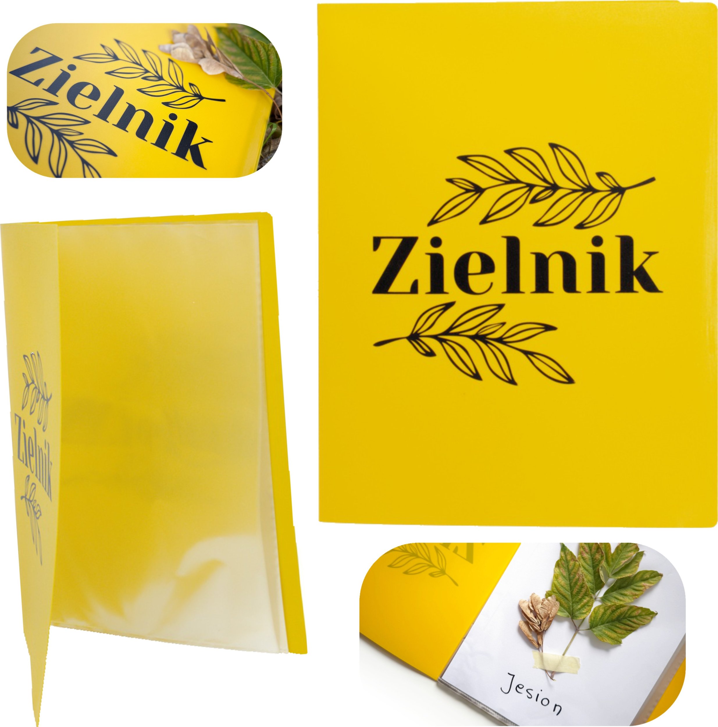 Biurfol Zielnik klaser album PP na liście 20 koszulek żółty BIURFOL