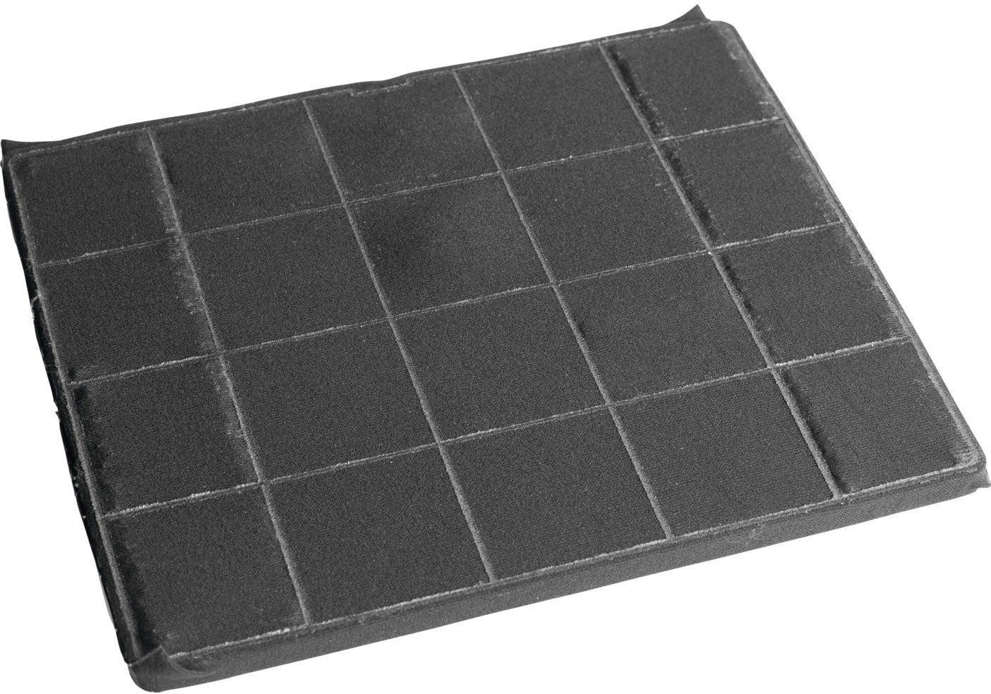 Carbon filter Electrolux (ECFBPL02)