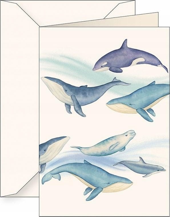 Tassotti Karnet B6 + koperta 6144 Ssaki morskie
