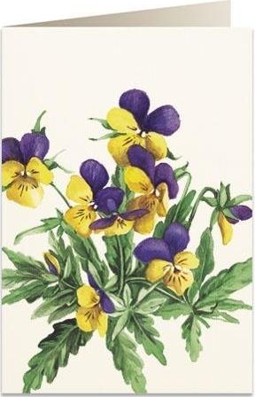 Tassotti Karnet B6 + koperta 8036 Bratki