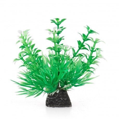 Aqua Natura, roślina, do dekoracji akwarium, zielona, plastikowa, 10 cm , wzrastające pędy i spirulina
