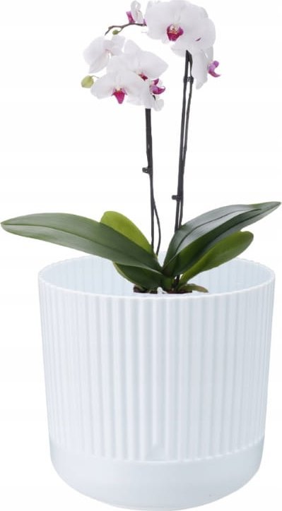 Galicja Doniczka dekoracyjna plastikowa z podstawką biała Nostalgia 17x18 cm