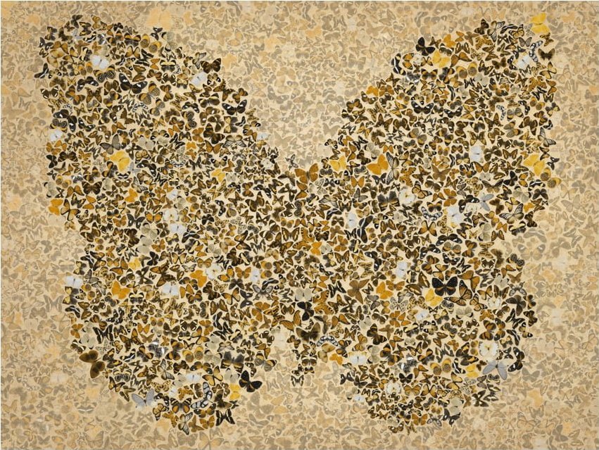 DecoNest Fototapeta - Madame Butterfly - 300X231