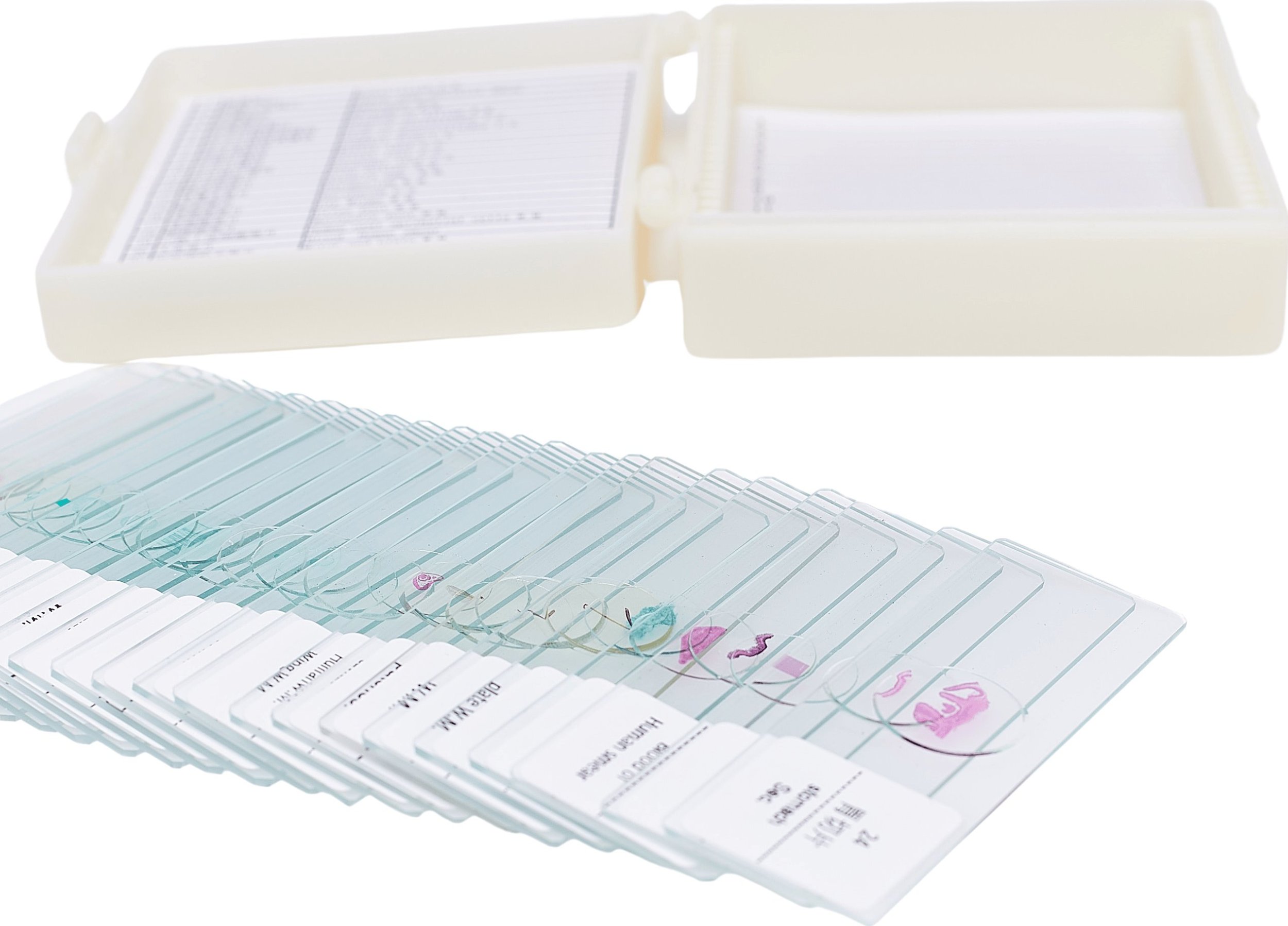 Zestaw 25x Próbki Preparaty do Mikroskopu Biologicznego Anatomia Botanika