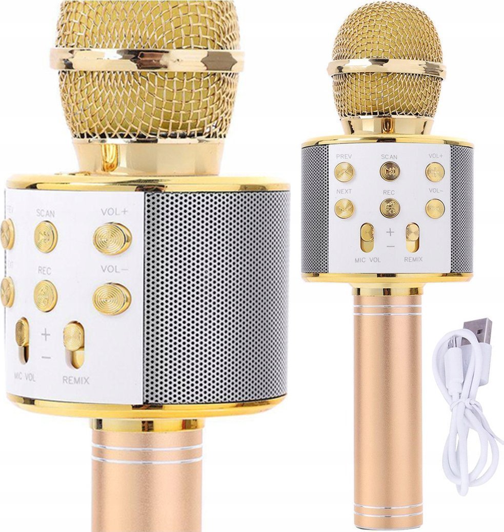 Głośnik Gotel Q17D ZESTAW KARAOKE 2 MIKROFONY I GŁOŚNIK