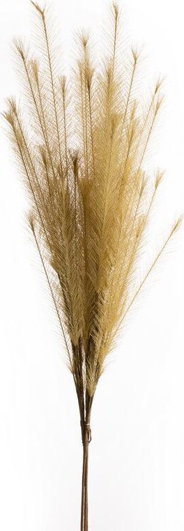 Eurofirany Sztuczna gałązka dekoracyjna FLORE beżowa x6