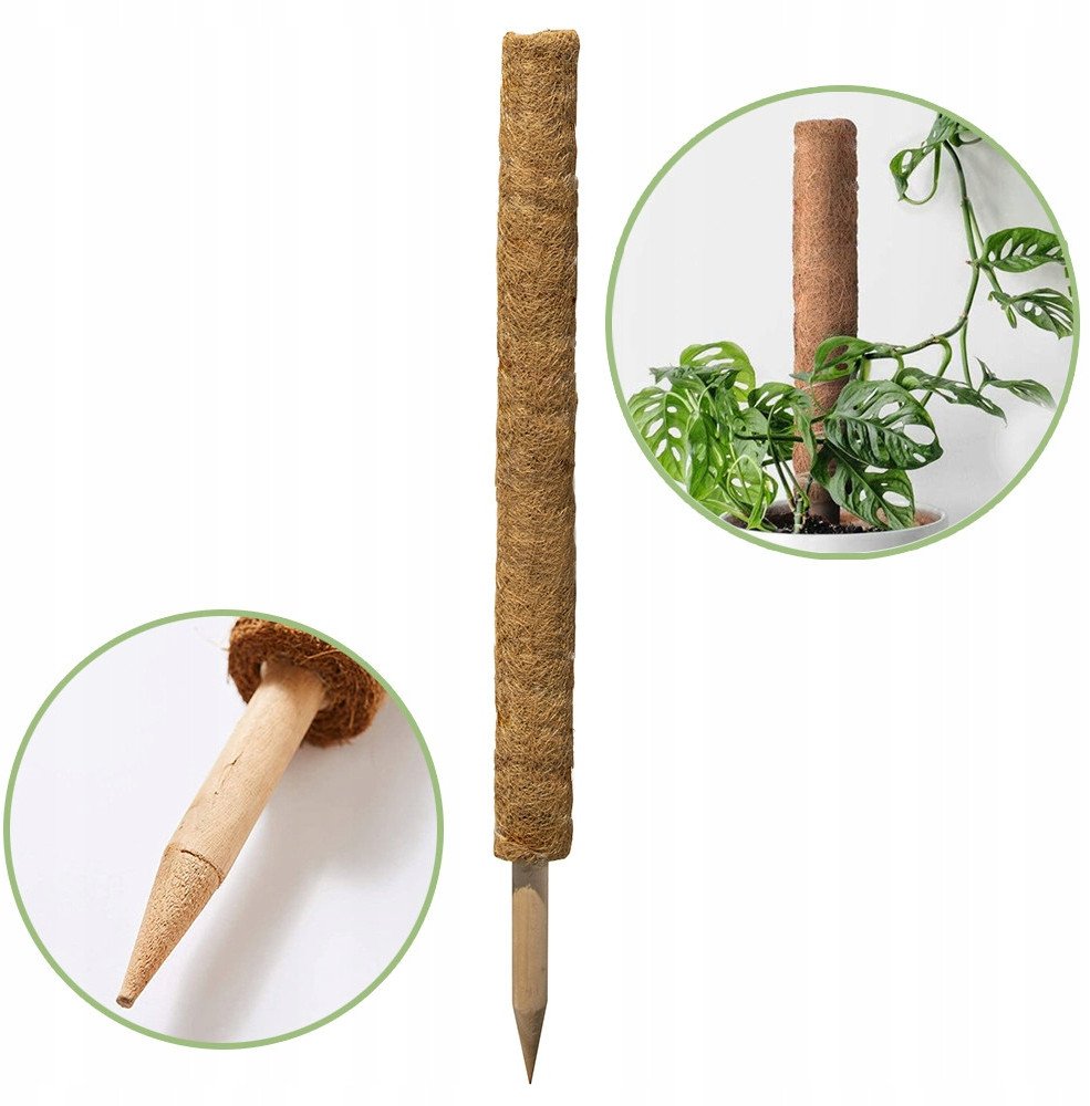 Palik kokosowy 60 cm podpora do roślin tyczka